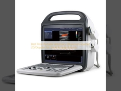 Best Price Portable Veterinary Ultrasound Scanner 2D/Doppler For Small & Large Animals