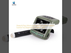 Sheep & Pigs Ultrasound Machine Portable Livestock Scanner For Pregnancy & Health Checks