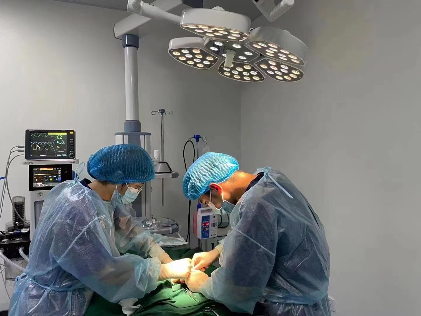 最新の企業ブログについて 精度 を 向上 さ せる 方法 ― 医療 検査 の 先進 的 な 光 が 患者 の 診断 を 改善 する