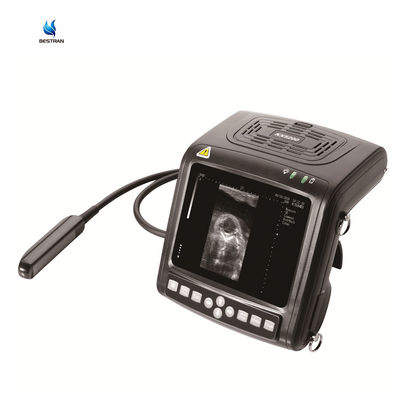 Buy Big Animal Veterinary Ultrasound Scanner Diagnostic Imaging System For Cow Horse Donkey online manufacture