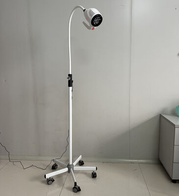 주문 휴대용 및 유연한 임상 검사 조명 90+ CRI LED, 50,000시간 수명, 다각도 수술 및 진단 조명을 위한 조정 가능한 호스 디자인 online manufacture