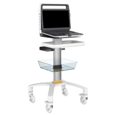 Portable 4D Ultrasound Machine Medical Data Interface Video VGA DICOM3.0 USB Printer Port