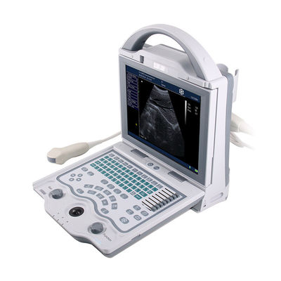 Portable B/W USG Veterinary Ultrasound Machine For Fast Diagnosis In Clinics & Farms