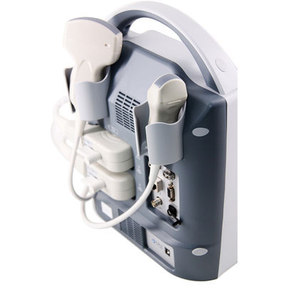 Portable B/W USG Veterinary Ultrasound Machine For Fast Diagnosis In Clinics & Farms