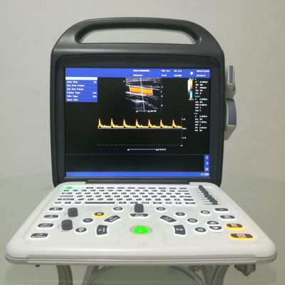 Best Price Portable Veterinary Ultrasound Scanner 2D/Doppler For Small & Large Animals