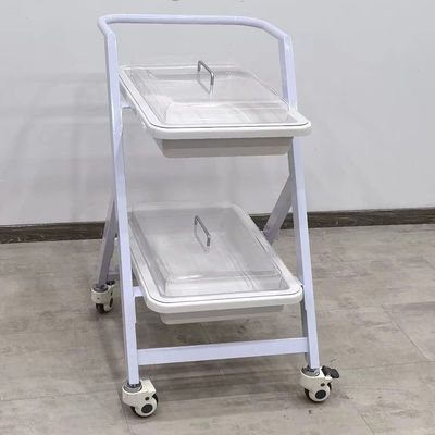 Chariot d'endoscopie avec 2 plateaux Chariot d'endoscopie mobile pour cliniques Hôpitaux