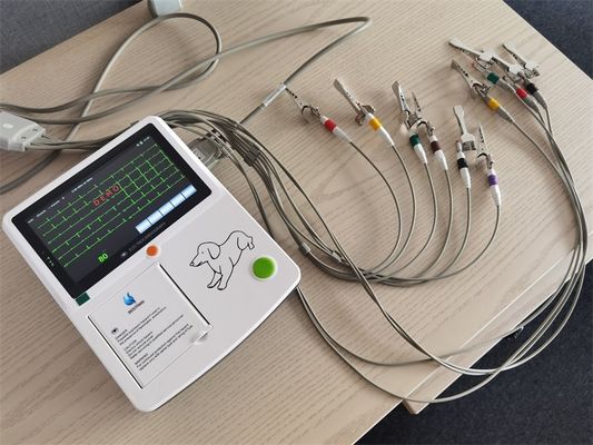 Vet-Specific Animal ECG Monitor Data Management, Sleep Mode & Keyboard Support