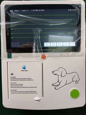 Vet-Specific Animal ECG Monitor Data Management, Sleep Mode & Keyboard Support